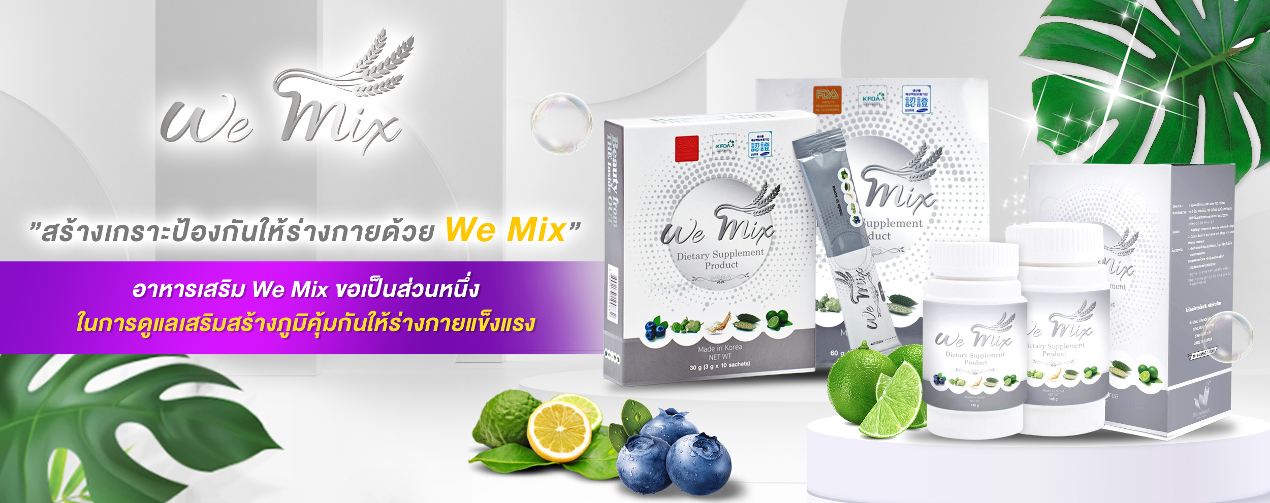 สไลด์เว้บ-wemixofficial-01