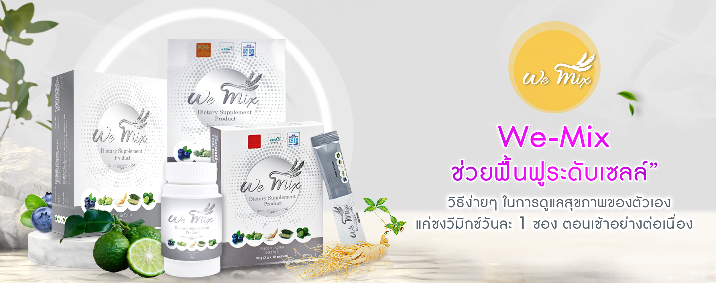 สไลด์เว้บ-wemixofficial-02